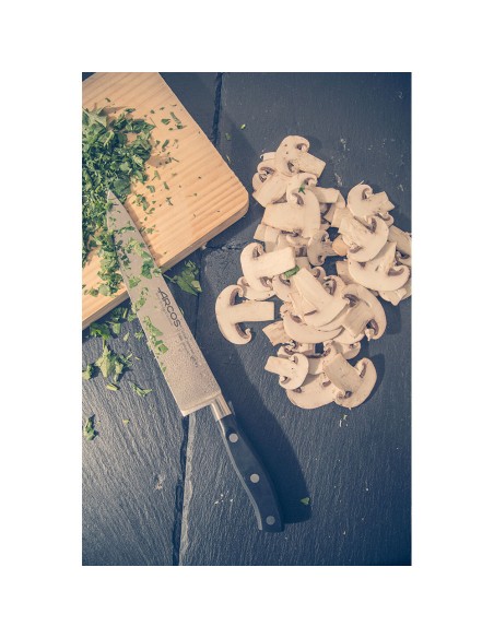 Cuchillo cocinero serie riviera 200 mm