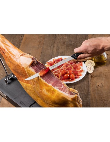 Cuchillo jamonero flexible serie universal 240 mm