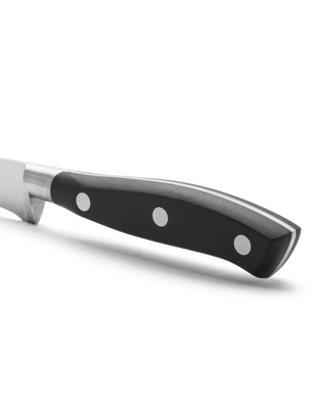 Cuchillo jamonero flexible serie riviera 250 mm