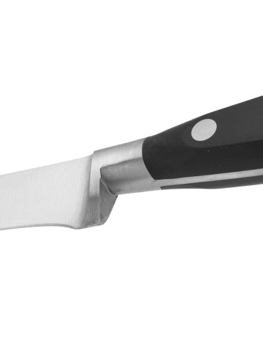 Cuchillo jamonero flexible serie riviera 250 mm