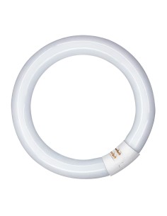 Tubo fluorescente circular 32w, g10q, 6500 k luz fria ø300 mm