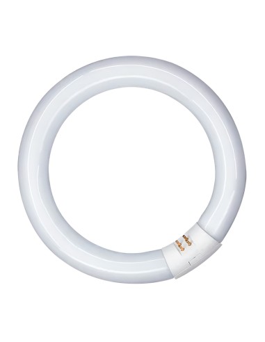Tubo fluorescente circular 40w, g10q, 6500 k luz fria ø400 mm