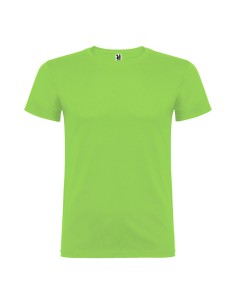 Camiseta beagle verde oasis t.s