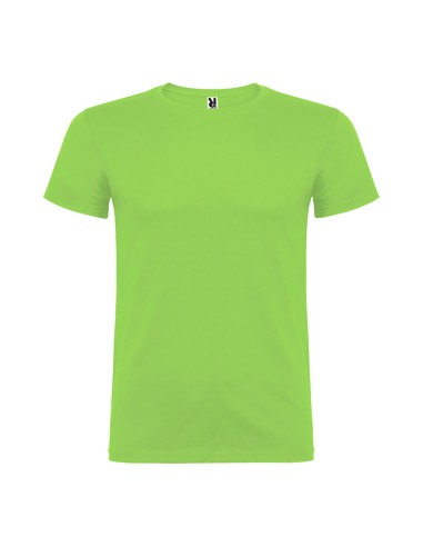Camiseta beagle verde oasis t.l