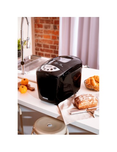 Panificadora ms 6022, 850 w