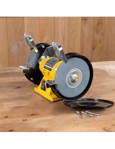 Esmeriladora de banco + 2 ruedas abrasivas de...