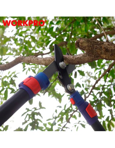 Tijeras poda dos manos bypass, extensibles 625...