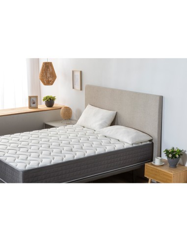 Almohada copos aloe vera 70 cm, 2 uds