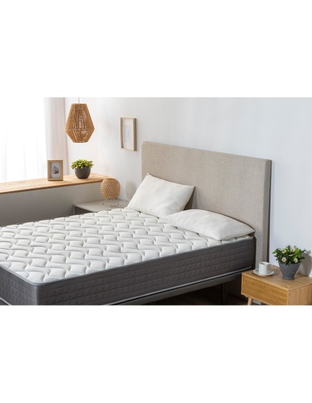 Almohada copos aloe vera 70 cm, 2 uds