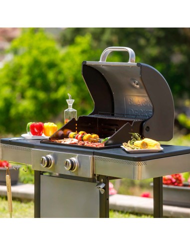 Barbacoa de gas bxog7200e con 2 quemadores 116...