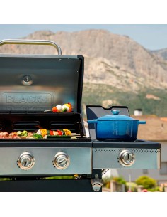 Barbacoa de gas bxog12950e con 4 quemadores 126 x 58 x 118,5 cm 2