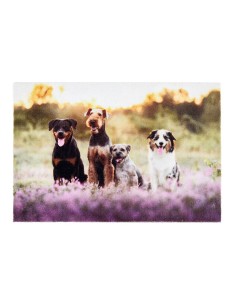 Felpudo de interior, deco print, 100% poliamida, 40 x 60cm, diseño grupo perro