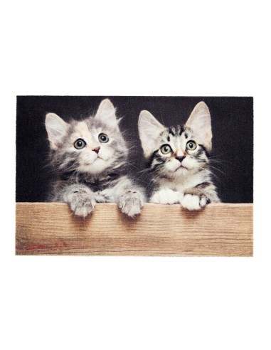Felpudo de interior, deco print, 100% poliamida, 40 x 60cm, diseño gatos