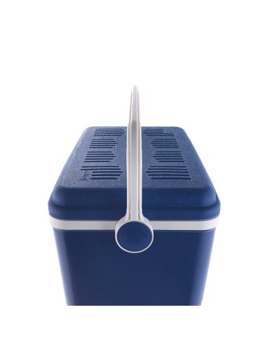 Nevera de camping 42 l, color azul, 55 x 35 x...