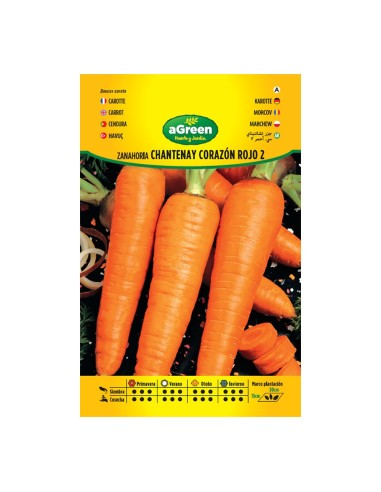 Sobre con semillas de zanahoria chantenay corazón rojo 2