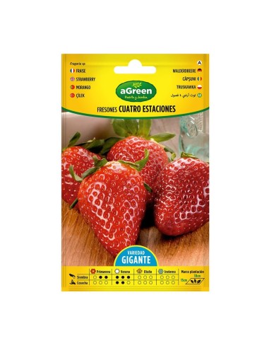 Sobre con semillas de fresones 4 estaciones