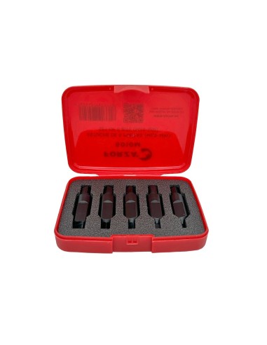 Puntas extractoras m2,5-m10 phillips/allen, 5010m, juego de 5 piezas