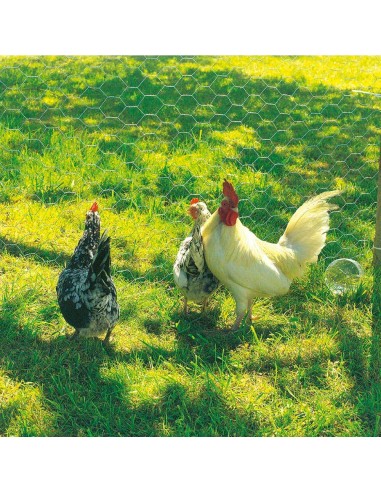 Malla metalica de triple torsion galvanizada...