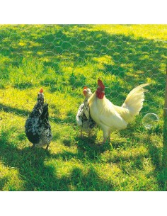 Malla metalica de triple torsion galvanizada cuadro: 19x0,7mm / 1x5m 2