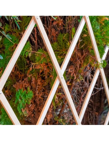 Celosía de madera extensible, 90 x 180 cm