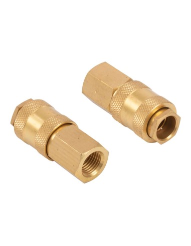 Conectores universales latón hembra rosca hembra ¼ pulg, 2 uds