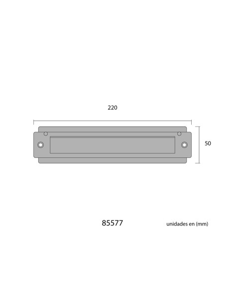 Placa de cartas para puerta de latón pulido 21,5 x 5 cm