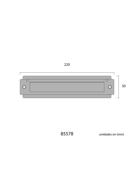 Placa de cartas para puerta de acero inoxidable 21,5 x 5 cm