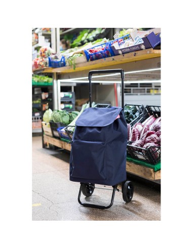 Carro de la compra argo blue 45 l
