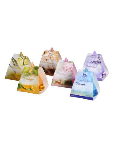 Ambientador 75ml fragancias surtidas