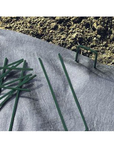 Grapas metalicas color verde 17 x 3,5 cm, 10...