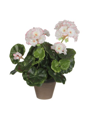 Geranio blanco rosa pvc con maceta gris